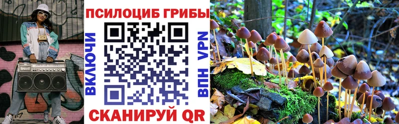 Купить  Сертолово  Псилоцибиновые грибы Cubensis 